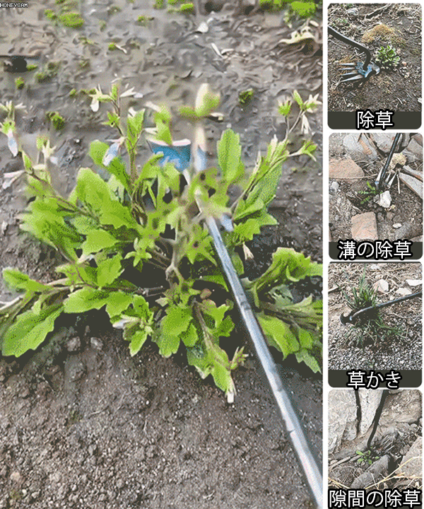（1625/個）多機能除草くわ片手用