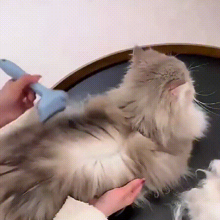 毛を薄くするペット抜け毛取りブラシ